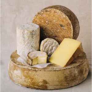 LongPaddockCheese.png